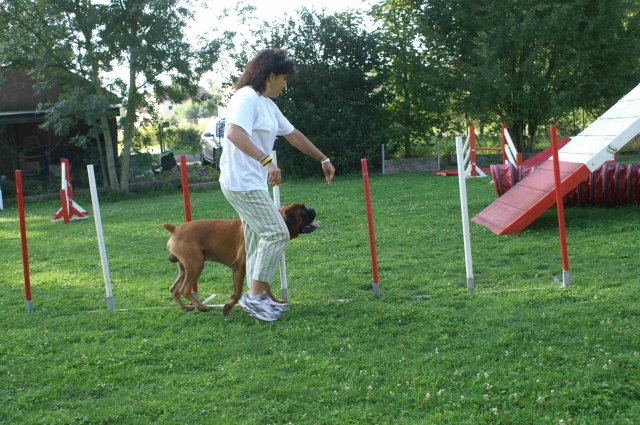 agility 2011-08